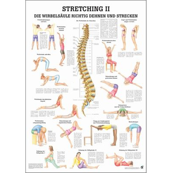 Anatomische Lehrtafel "Stretching II"
